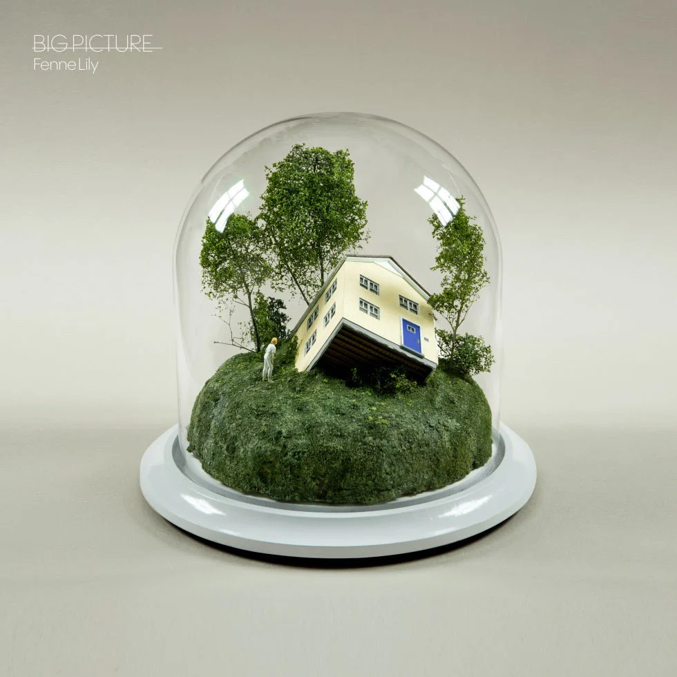 Big Picture - Image 5